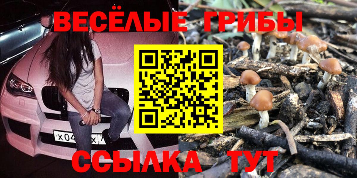 Можайск  наркотики  Псилоцибиновые грибы Cubensis  Вход с VPN  Псилоцибиновые грибы прущие грибы 